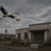 В районах Молдовы закрывают родильные отделения