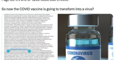 Фейк-контроль: Вызывала ли вакцина Pfizer «хантавирус»?