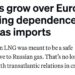 Politico: После отказа от российского газа, ЕС все быстрее привязывается к поставкам американского СПГ