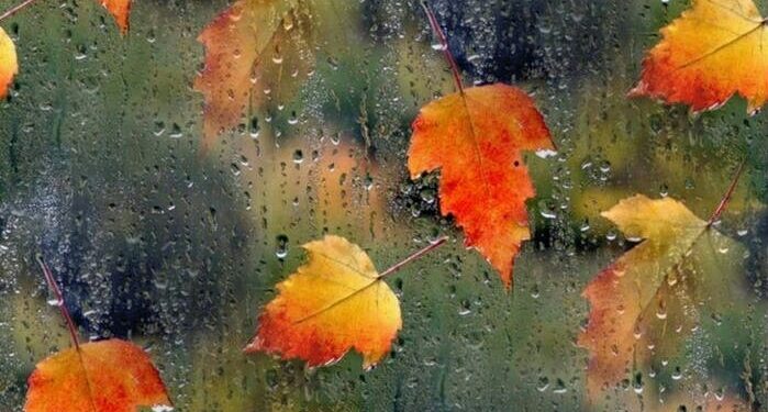 В Молдове на ближайшие дни объявлен желтый код из-за дождей