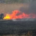 ГИЧС: Пожары растительности вызваны безответственностью людей