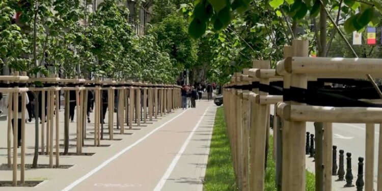 Примэрия Кишинева: Наша цель к 2030 году сделать Кишинев зеленой столицей Европы