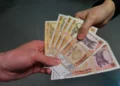 Неформальная занятость становится всё более распространённой: Почему работники соглашаются работать неофициально