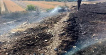 Крупный пожар на левом берегу Днестра: огонь охватил 25 гектаров