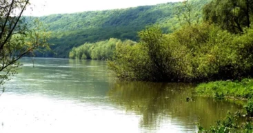 Эколог предупреждает о тревожных изменениях на Днестре: вода расходуется без учёта зимних запасов
