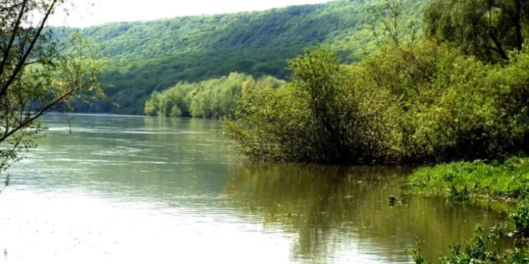 Эколог предупреждает о тревожных изменениях на Днестре: вода расходуется без учёта зимних запасов