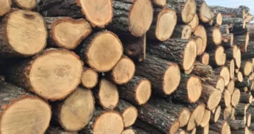 Подготовка к зиме в молдавских селах: сколько люди тратят на дрова