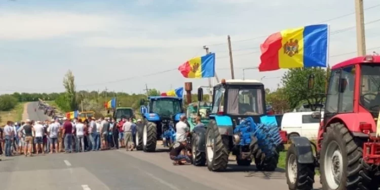 Сельхозпроизводители с юга Молдовы могут выйти на протесты