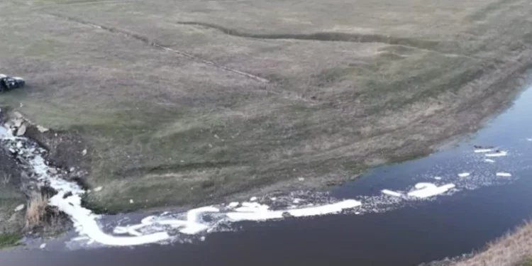 Экологическая катастрофа в Старом Оргееве: уровень аммония в Реуте превышен более чем в 20 раз