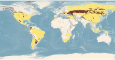 Чернозём: Чёрное золото Молдовы