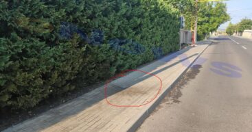 Полиция задержала двух подозреваемых в подрыве петарды «взрывного устройства» у дома мэра Ставчен