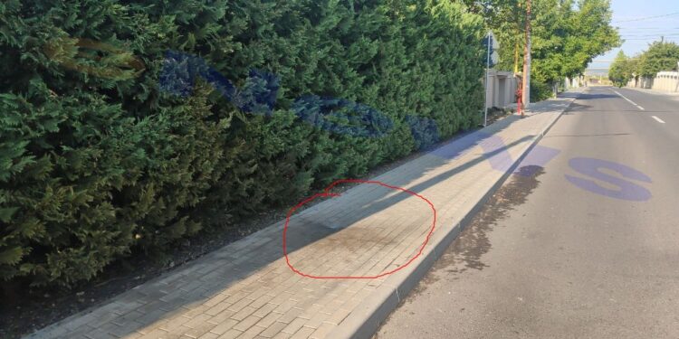 Полиция задержала двух подозреваемых в подрыве петарды «взрывного устройства» у дома мэра Ставчен