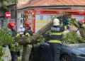 Ураган в Румынии повалил десятки деревьев, снес крыши и оставил без света более 30 000 человек