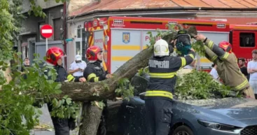 Ураган в Румынии повалил десятки деревьев, снес крыши и оставил без света более 30 000 человек