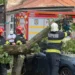 Ураган в Румынии повалил десятки деревьев, снес крыши и оставил без света более 30 000 человек