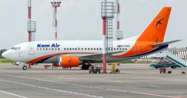 Подросток из Афганистана чудом добрался до Индии в отсеке шасси пассажирского самолёта