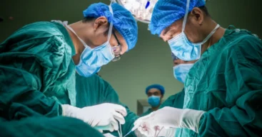 В Китае впервые трансплантировали лёгкое свиньи в тело человека