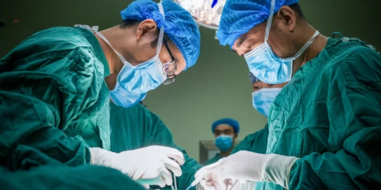 В Китае впервые трансплантировали лёгкое свиньи в тело человека