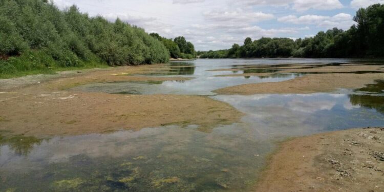 Удобрения и сточные воды — основные источники загрязнения реки Днестр
