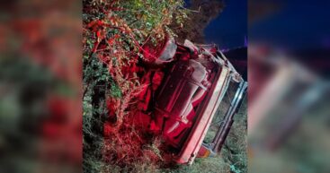 В Сорокском районе BMW на скорости вылетел в кювет — два человека погибли