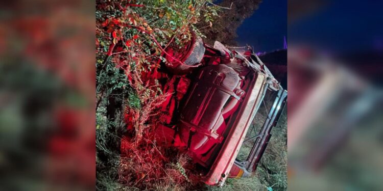 В Сорокском районе BMW на скорости вылетел в кювет — два человека погибли