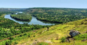 Днестр зарастает и мелеет: экосистема одной из главных рек Молдовы под угрозой