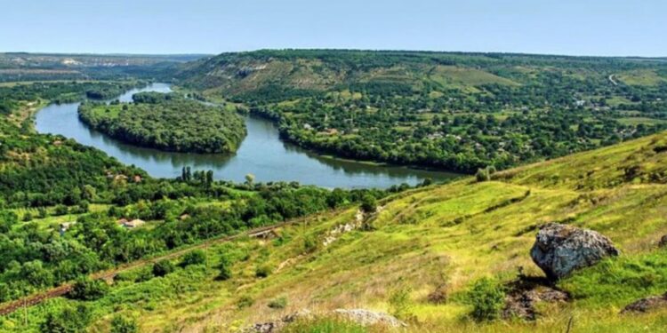 Днестр зарастает и мелеет: экосистема одной из главных рек Молдовы под угрозой