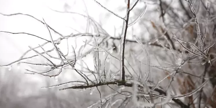 Прошедшая ночь стала одной из самых холодных в Молдове: на севере зафиксировали –19°C