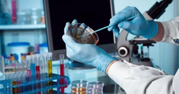 ВОЗ предупредила о резком росте устойчивости инфекций к антибиотикам