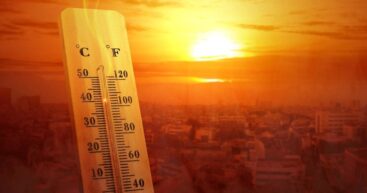 Учёные заявили, что из-за жары в мире ежегодно умирают 546 тысяч человек