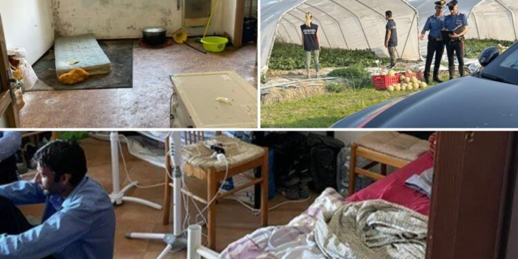 Гражданин Молдовы эксплуатировал соотечественников на фермах в Италии: забрал их документы, карточки и платил гроши