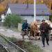 Евростат: Треть румын живут в бедности или на грани бедности