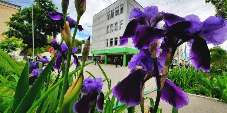 В столице стартовал второй этап приёма в лицеи — осталось 1 325 мест