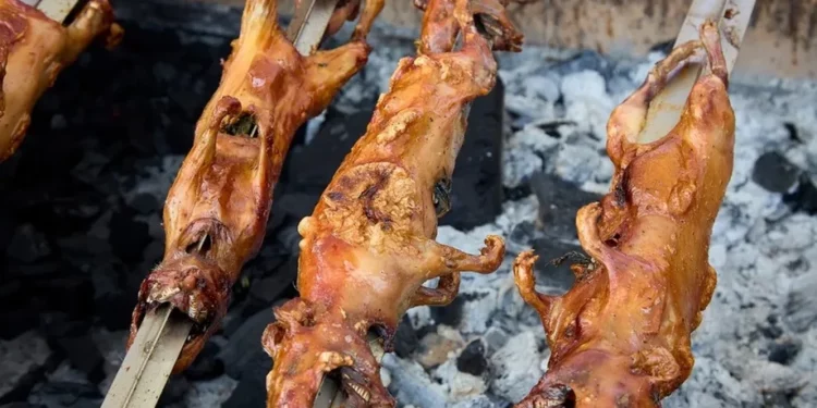 Почему в Древнем Риме ели эту странную еду и почему мы больше этого не делаем