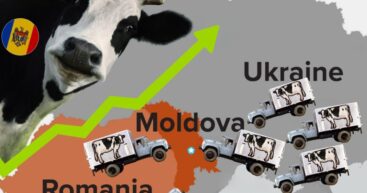 Молдова зависит от украинского молока на 66%, а местное производство покрывает лишь 12% потребления