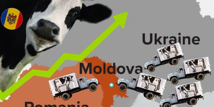Молдова зависит от украинского молока на 66%, а местное производство покрывает лишь 12% потребления