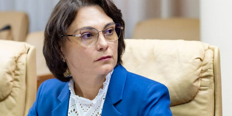 Мисаил-Никитин: многочисленные протесты – хитрый план против полиции