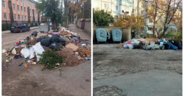 В Бельцах появились незаконные мусорные свалки