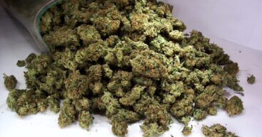 Пара задержана за торговлю наркотиками на Чеканах: изъяты амфетамин, кокаин и марихуана на 400 тысяч леев