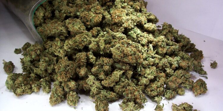 Пара задержана за торговлю наркотиками на Чеканах: изъяты амфетамин, кокаин и марихуана на 400 тысяч леев