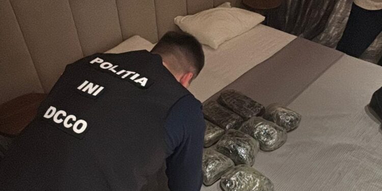 В отеле под Новыми Аненами нашли сумку с 10 кг наркотиков на 5 млн леев: ее оставила девушка из России