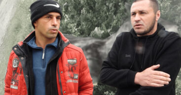 Жестокое убийство лошади стало результатом вражды двух семей в Глодянском районе