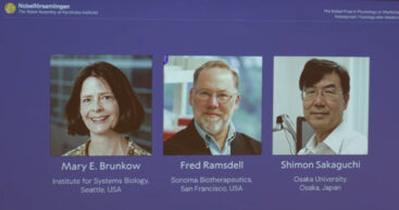 Нобелевскую премию по физиологии и медицине – 2025 присудили за исследования иммунитета