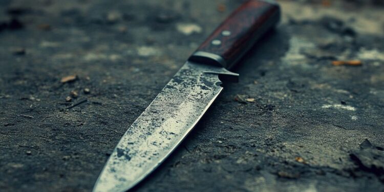 В Кишиневе арестовали бездомного, который убил соседа по подвалу и напал на полицию с ножом