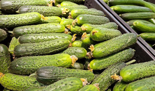 Наш огурец теперь кошерен: Израиль одобрил импорт овощей из РМ
