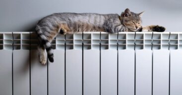 Ряд школ и больниц Кишинева пока еще без отопления. Как это объясняют местные власти