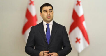 В Тбилиси заявили о попытках внешних сил поставить Грузию «на путь Молдовы»