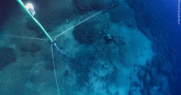 Со дна Эгейского моря подняли фрагмент Парфенона
