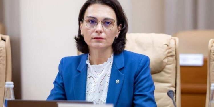 Основные статьи декларации о доходах, имуществе главы МВД Молдовы Даниэлы Мисаил-Никитин за 2025 год
