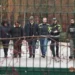 В румынском зоопарке амурский тигр убил своего смотрителя